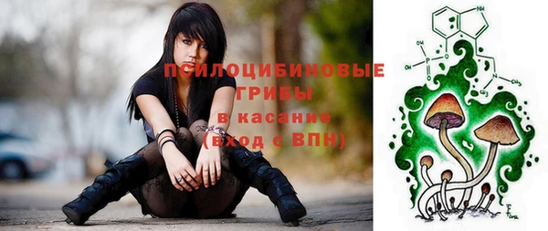 гидропоника Медвежьегорск