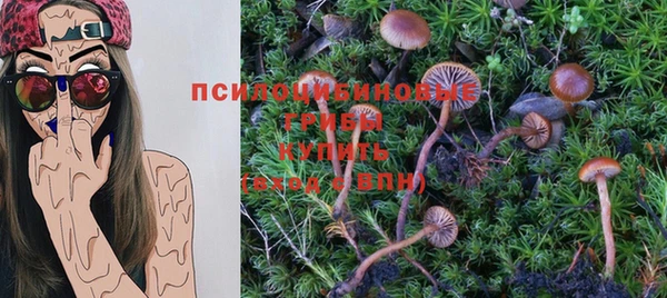 мяу мяу мука Медногорск